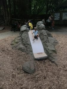 woodland park zoo woodland park zoo
