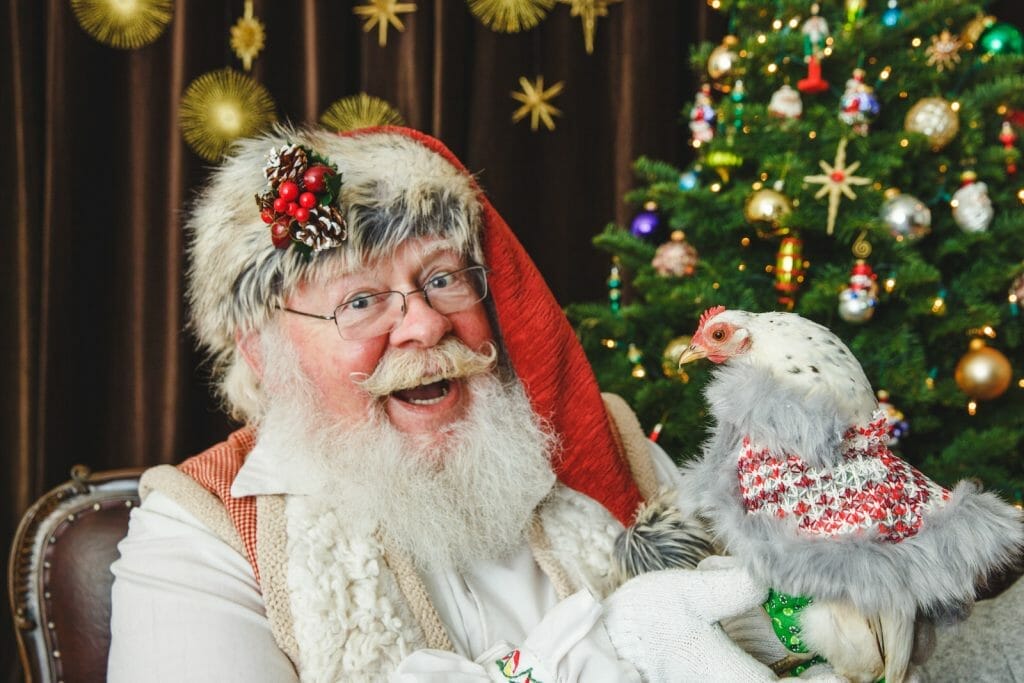 santa photos with pets santa photos with pets